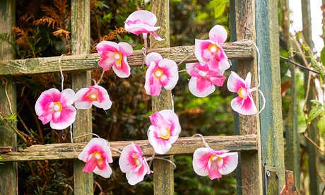 Fino a 3 set di 12 luci LED a forma di orchidea