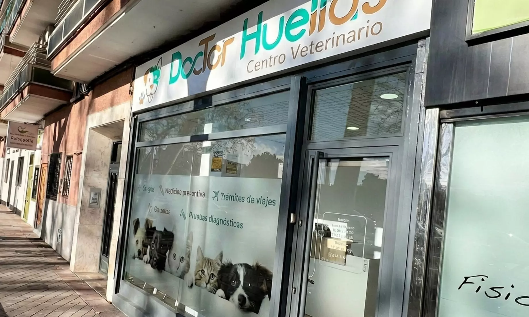 Esterilización de gatos y perras hasta 20 kg