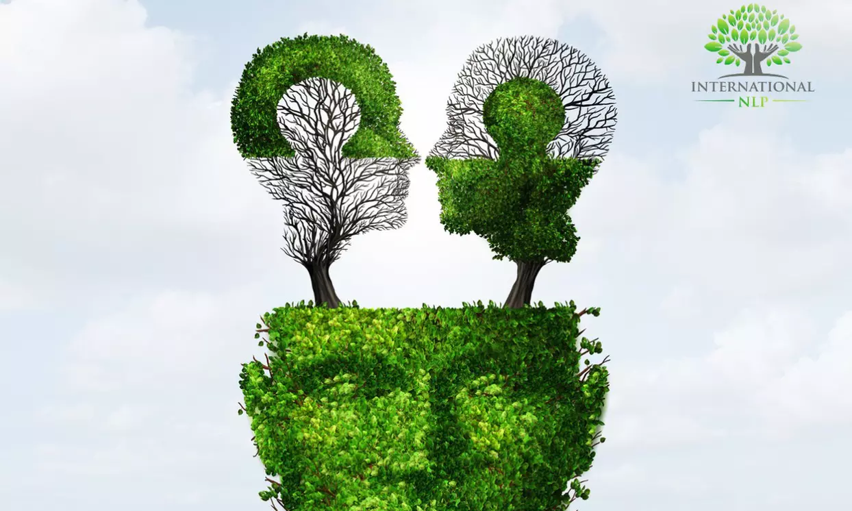 Online-Ausbildung für Neurowissenschaften inklusive Teilnahmezertifikat von International NLP (90% sparen) - Primary Image