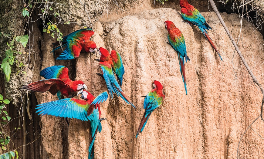Image 16: ✈ 10-Day Tour of Peru with Air from Gate 1 Travel