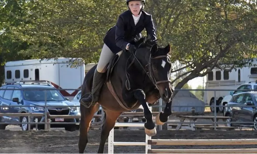 Up to 50% Off on Horse Back Riding - Training at Bay Light Farm - Other - Primary Image