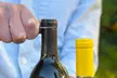 Swirl Wine Shop 14-Bottle Curated Mixed Wine Collection with Wine Tool Kit - Second Medium