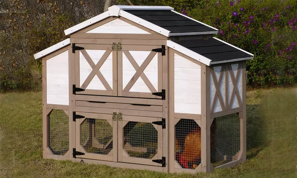Country-Style Chicken Coop - Primary Image