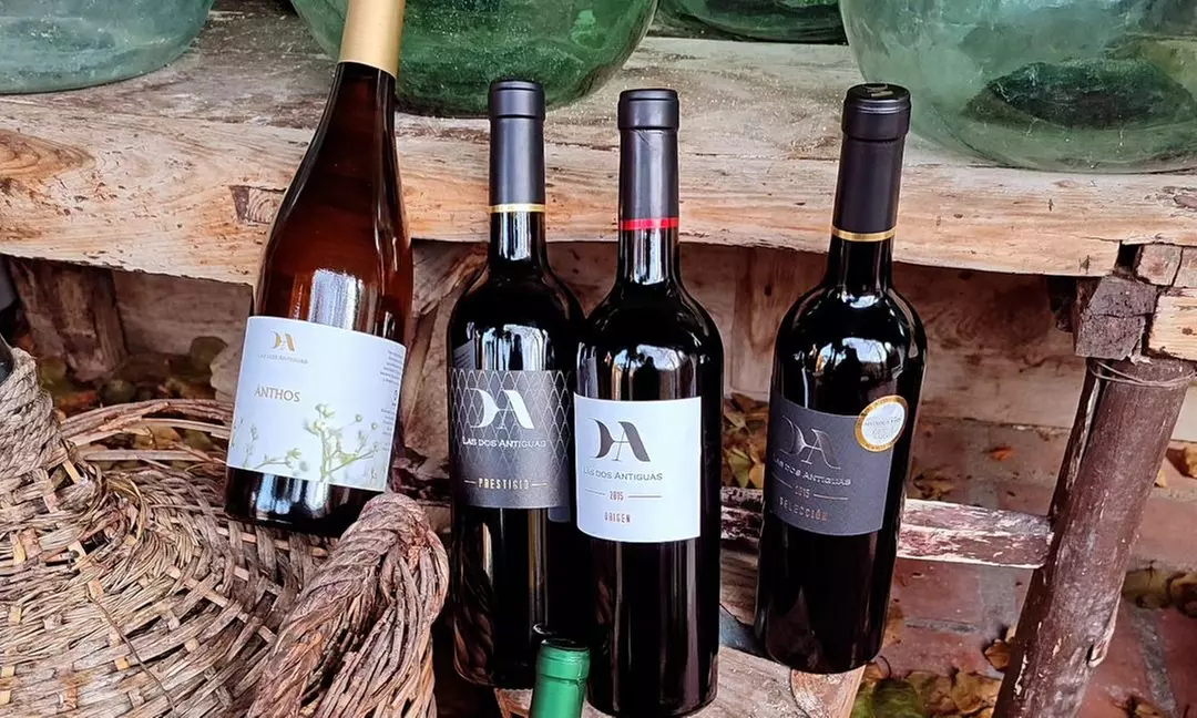 Explora el arte del vino artesanal en una bodega histórica con Bodega Las Dos Antiguas Hasta un 45% de descuento - Second Medium