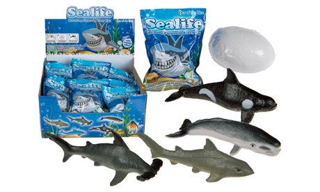 Fino a 3 uova con animale marino da far schiudere in acqua