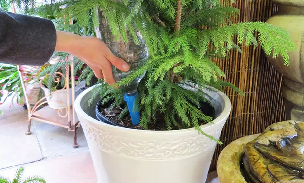 Evelots Automatic Watering Spikes (10-Pack) - Second Medium