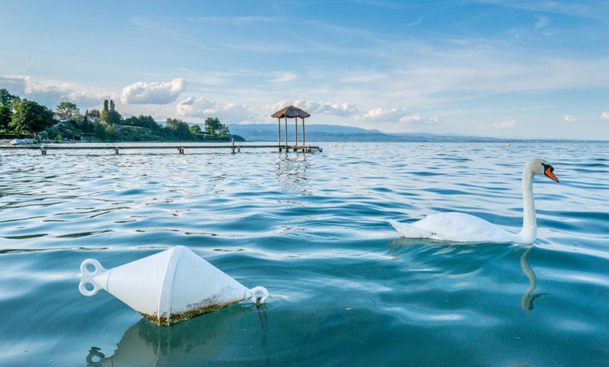 Image 11: Lac Léman : chambre double ou familiale