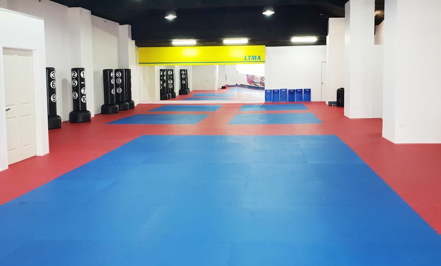 Image 2: One-Month Unlimited Taekwondo