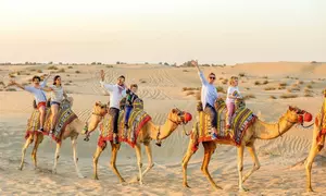 Desert Safari w/ Centralized Van w/ Optional 30-min Quad Bike or 4X4 Home/Hotel Pick Up/Drop Off (Up to 67% Off)