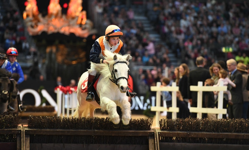 Image 6: London International Horse Show