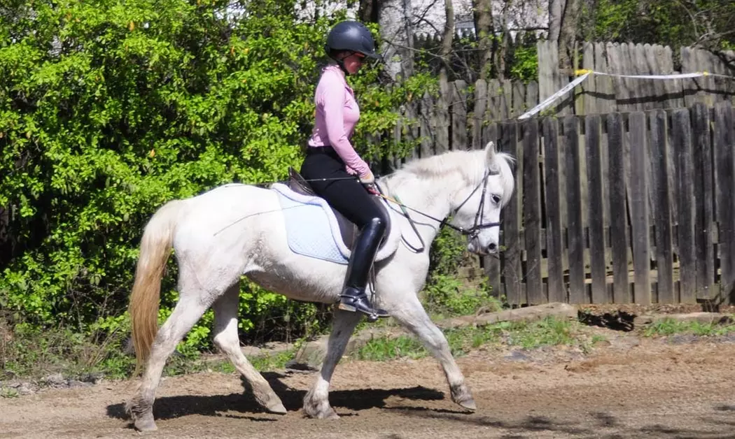 Riding Lessons at Little Burgundy Farm (Up to 57% Off). Four Options Available. - Second Medium
