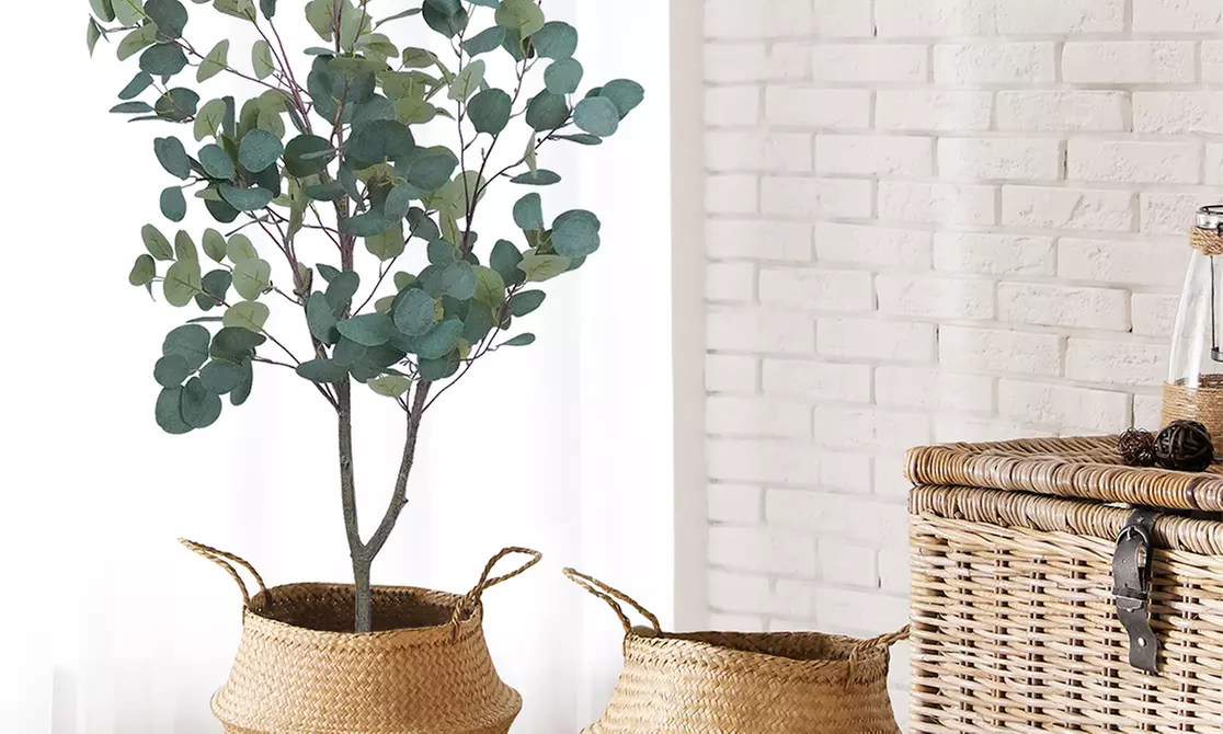 Collezione di piante finte da interno