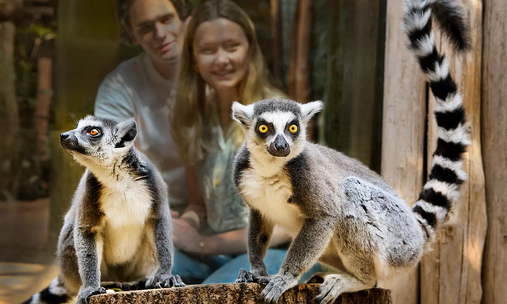 Tagesticket: ZOOM Erlebniswelt