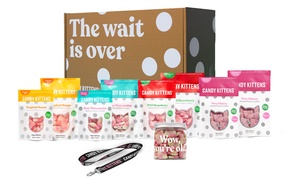 Candy Kittens Vegan Sweets Bundle