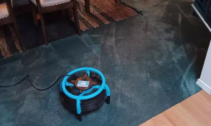 Carpet Cleaning for 2, 4, or 6 Rooms