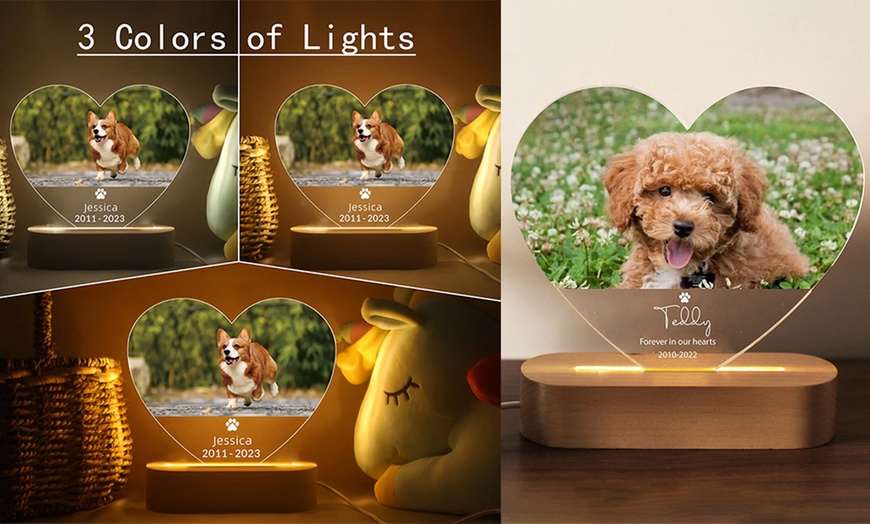 Image 7: Personalized Pet Memorial Night Light from Justyling