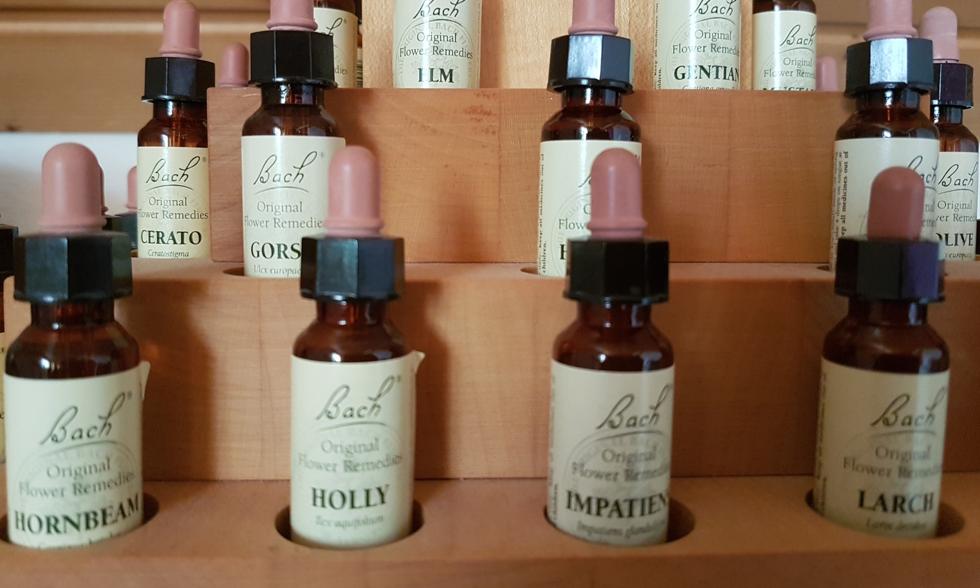 Fernstudium zum Bachblütenberater, 1. Monatslektion