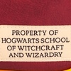 Image 5: Hogwarts Express Messenger Bag