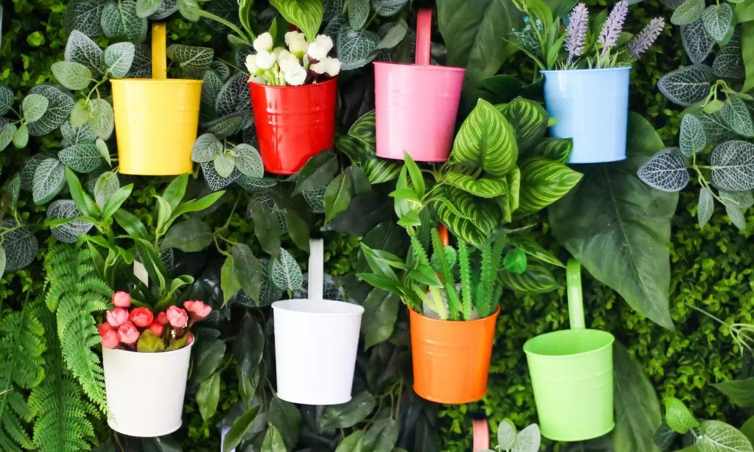 Set da 10 vasi da fiori in metallo con foro di drenaggio, in colori diversi e con spedizione gratuita - Primary Image