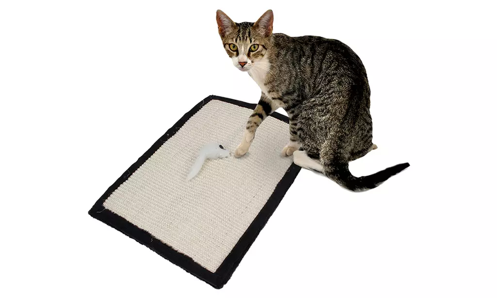 2-in-1 Cat Scratcher Wrap-Around and Floor Scratcher with Toy - Image 2