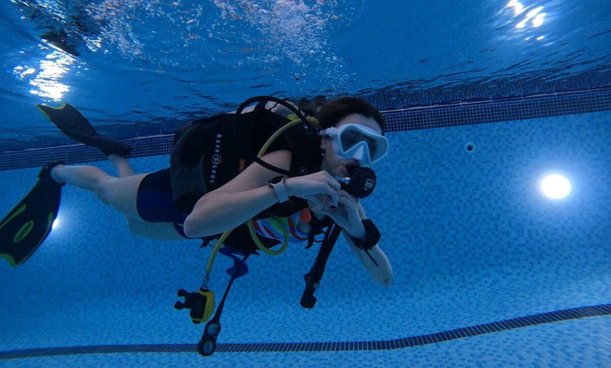 Image 1: Dive into Adventure with Diving Course