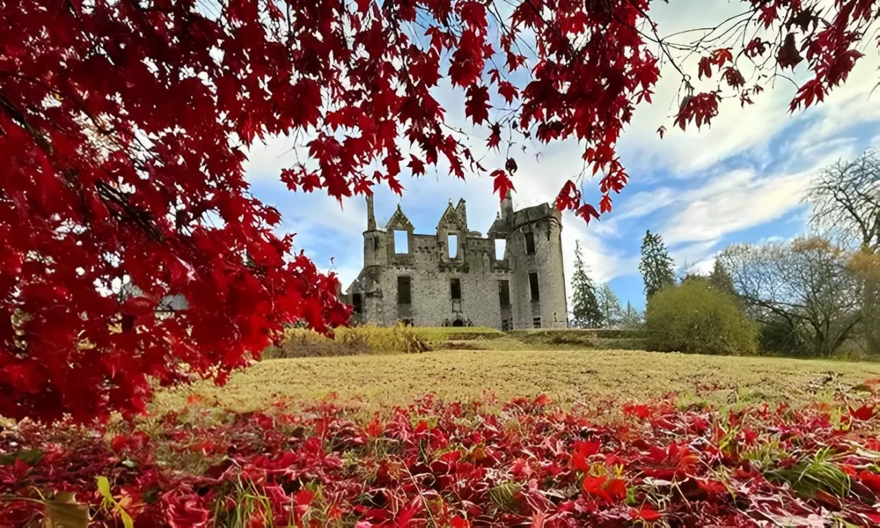 Lord oder Lady of Chaol Ghleann / Dunans Castle Titel online od. im Souvenir-Pack (bis zu 68% sparen) - Primary Image