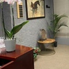 Image 3: Up to 55% Off on Couples Massage at Wei Spa Massage
