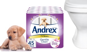 45 Rolls of Andrex Gentle Clean Toilet Tissues