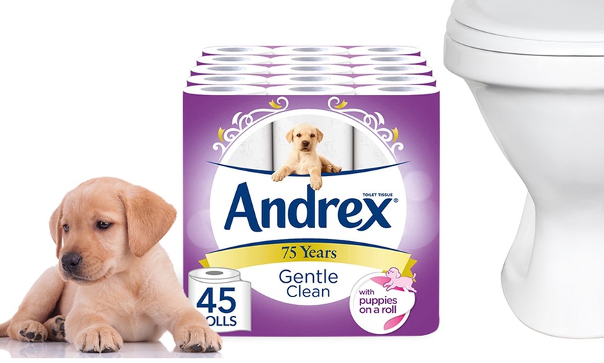 Image 1: Rolls of Andrex Gentle Clean Toilet Tissues