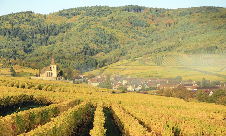 Image 10: Séjour œnologique en Alsace