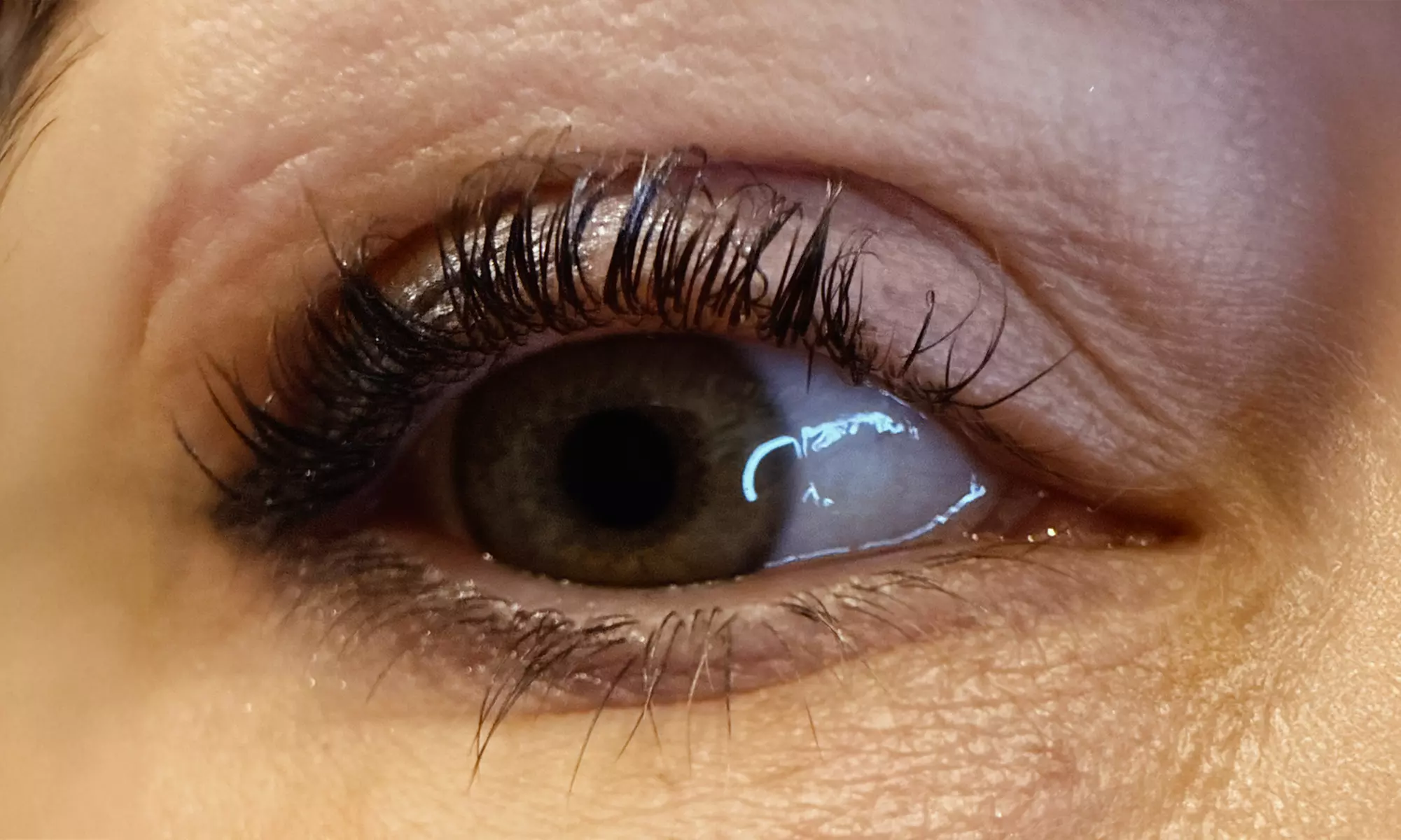 Transform Your Look with a Lash Lift or Lift and Tint Combo