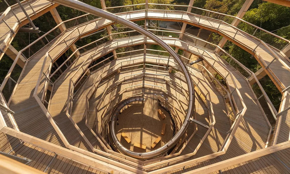 Elevated Treetop Walk & Viewing Tower – Panoramic Wicklow Views