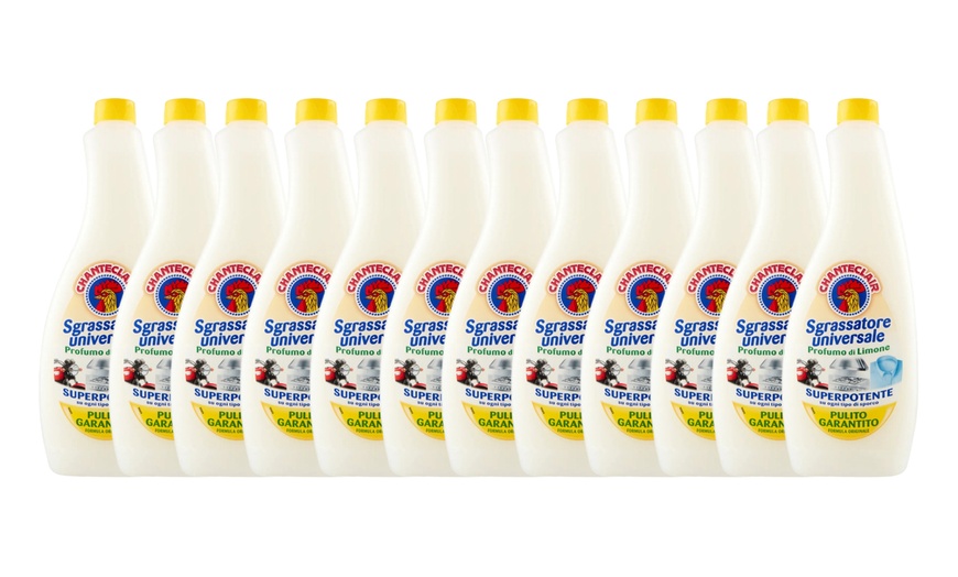 Image 12: 12 confezioni di Chanteclair sgrassatore da 600 ml