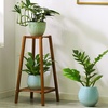 Image 2: Brown Multi-Tier Wooden Plant Stand
