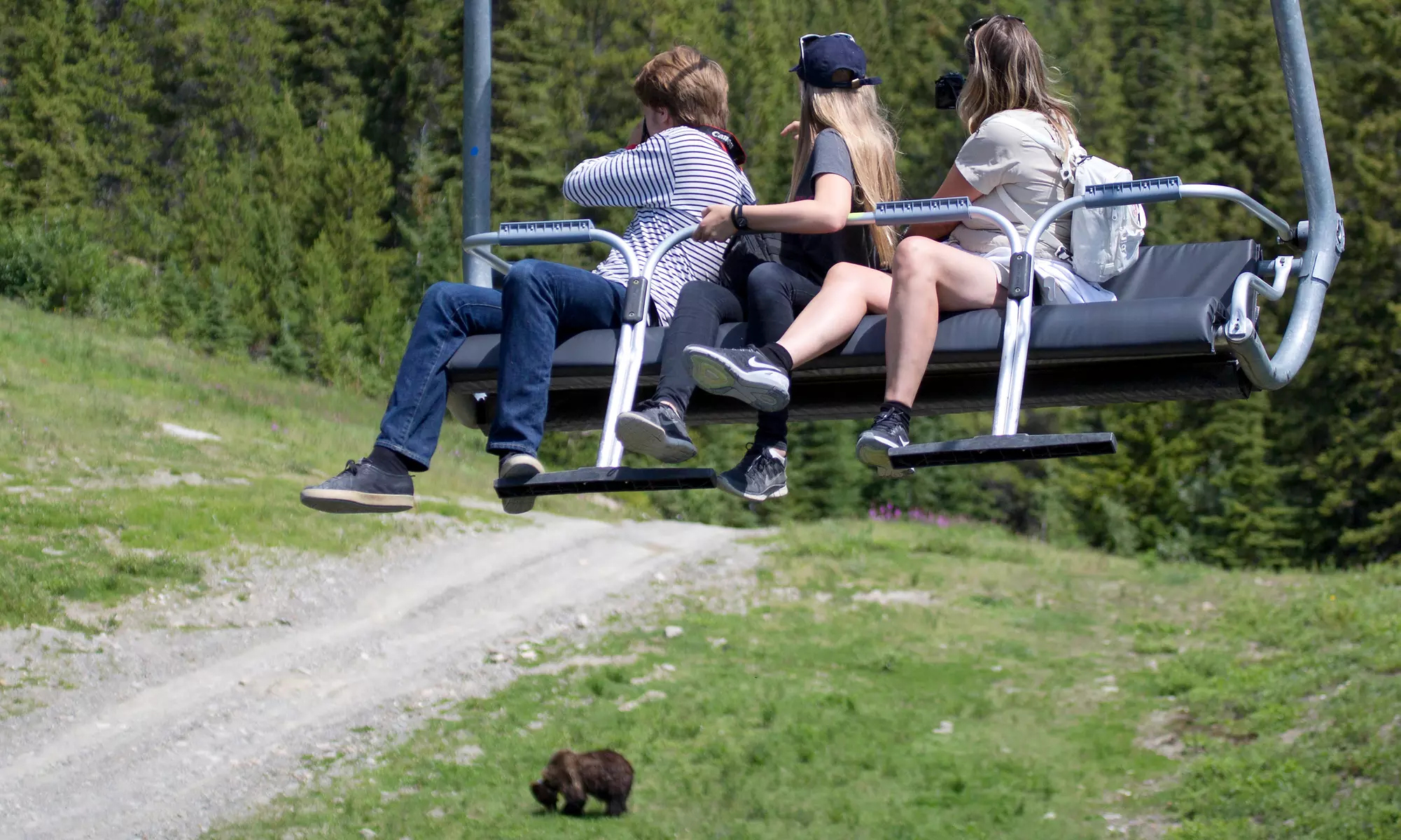 Sightseeing Gondola Ride for Two or Four at Lake Louise Summer Gondola (Up to 41% Off) - Second Medium