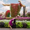 Image 15: Dubai Miracle Garden + Butterfly Garden Combo Tickets (For 1, 2, or 4)