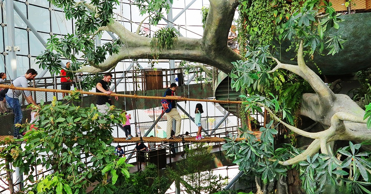 Skip The Line At The Green Planet Dubai: Tropical Rainforest Adventure Skip The Line At The Green Planet Dubai: Tropical Rainforest Adventure