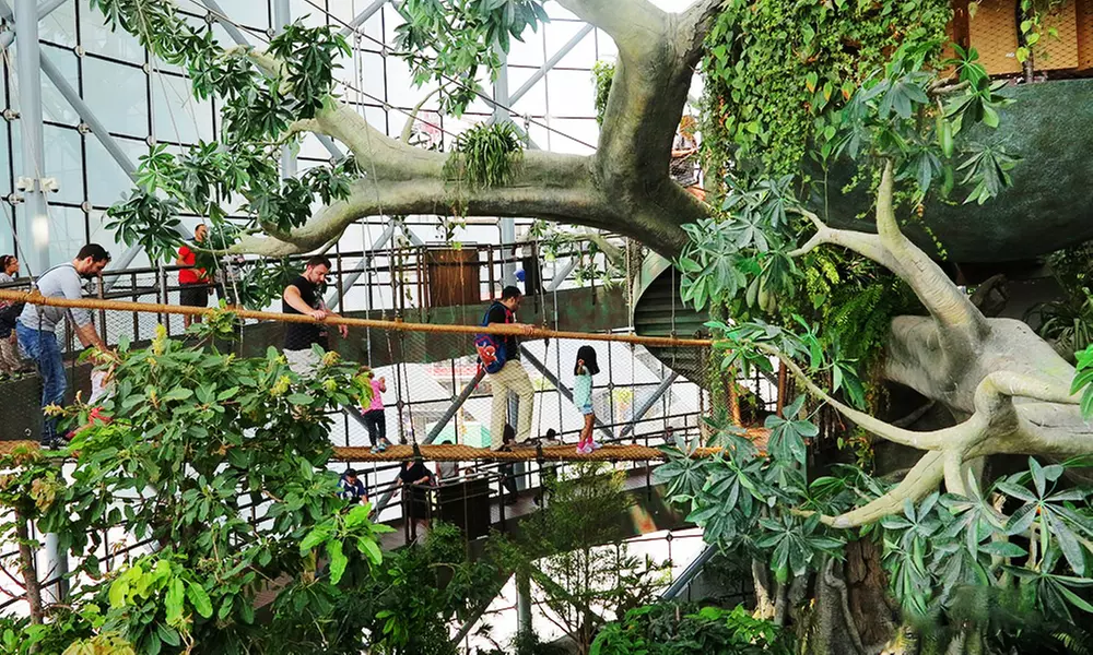 Skip the Line at The Green Planet Dubai: Tropical Rainforest Adventure