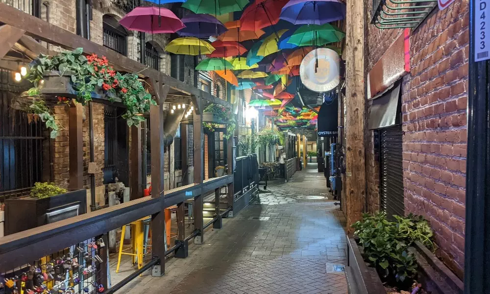 What to expect media