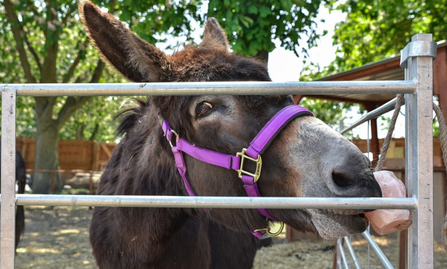 Image 10: Zoo Entry at Maldon Promenade Zoo