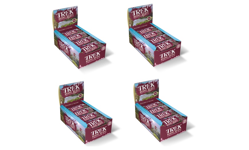 Image 10: Trek Energy Bars 10g Protein