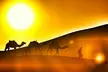 Morocco Tour. Price is per Person, Based on Two Guests per Room. Buy One Voucher per Person. - Second Medium