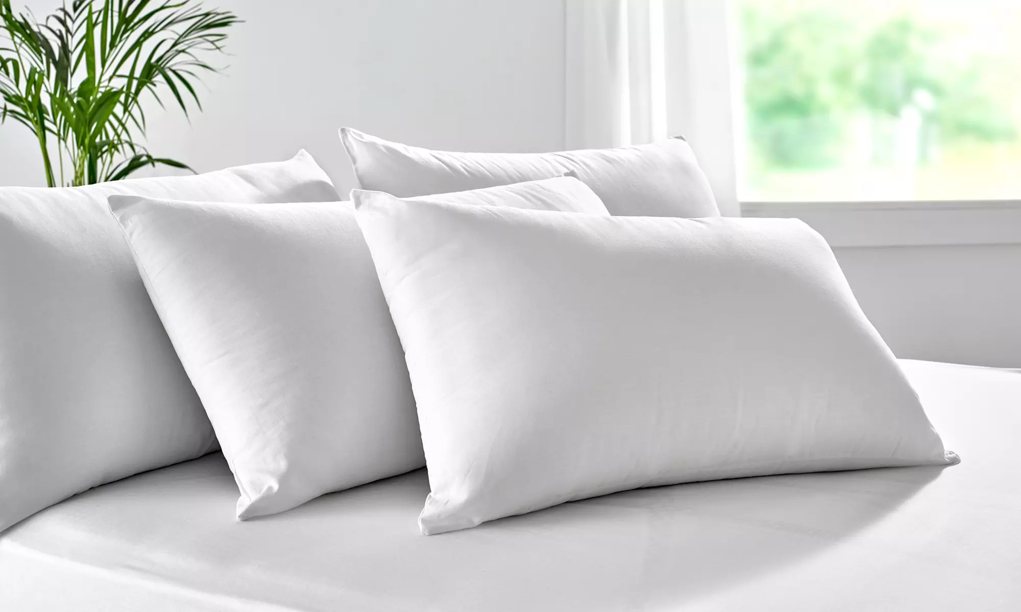 1 o 2 almohadas de fibra hueca con tratamiento dermoprotector de Aloe Vera - Primary Image