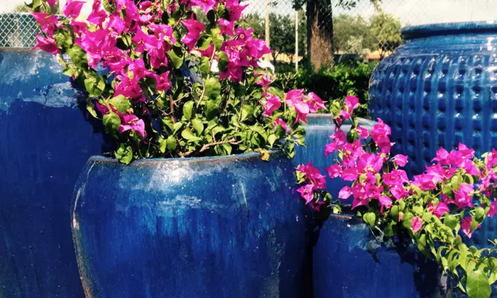 $50 for $100 Worth of Outdoor Ceramics at Artistic Statuary - Primary Image