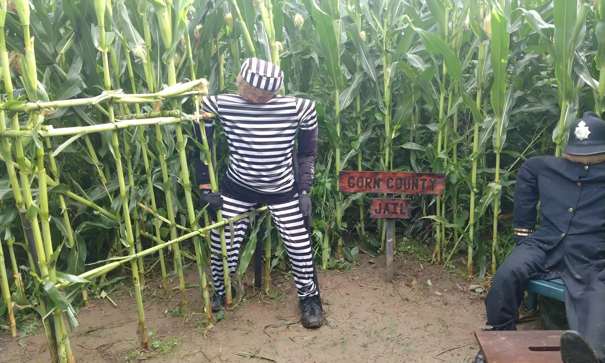Get Lost in the Corn Maze and Relax by the Communal Fire Pits
