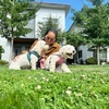 Image 3: 1, 3 or 5 Overnight Dog Boarding Stays for One Dog or Cat or Two Dogs