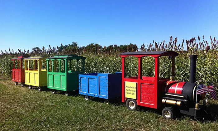 Corn Maze, Fun Pass, and Pumpkin-Cannon Shots for Two or Four at Annabelle's Fun Farm (Up to 43% Off) - Second Medium