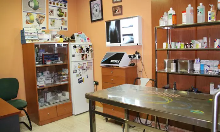 Higiene bucal para 1 o 2 mascotas