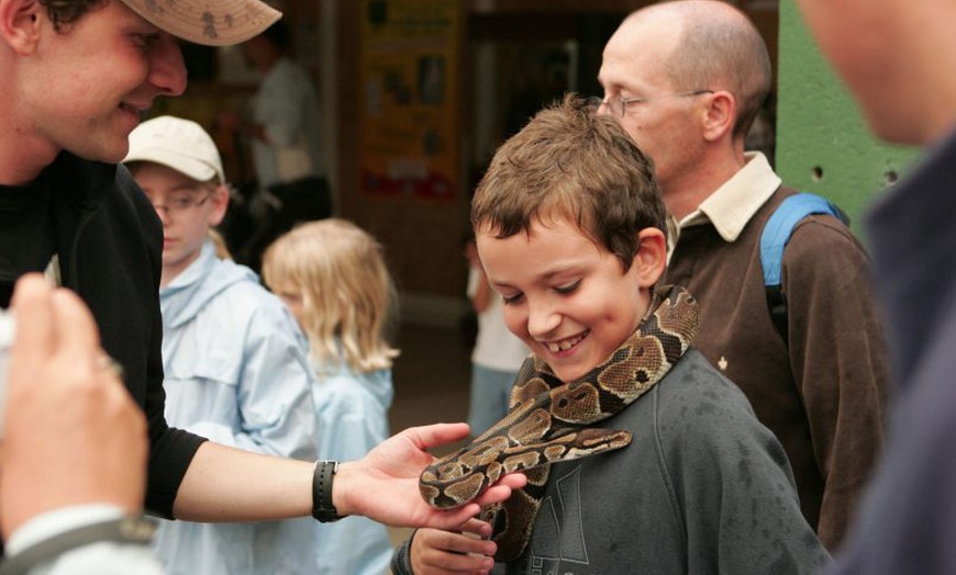 Image 3: Entrée adulte et enfant au Zoo de Jurques