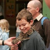 Image 3: Entrée adulte et enfant au Zoo de Jurques